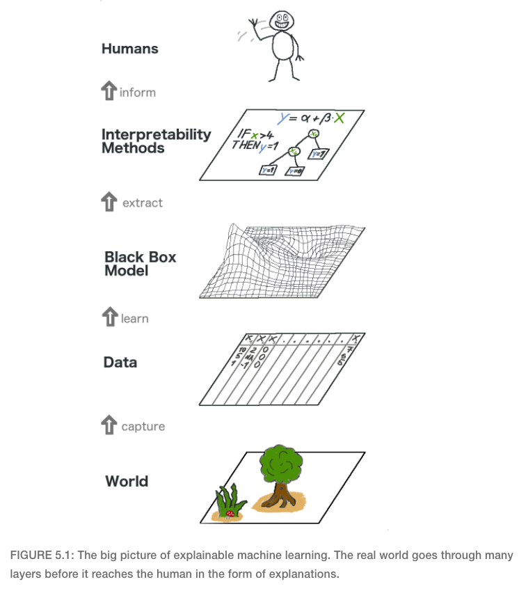 From Interpretable Machine Learning (Molnar)